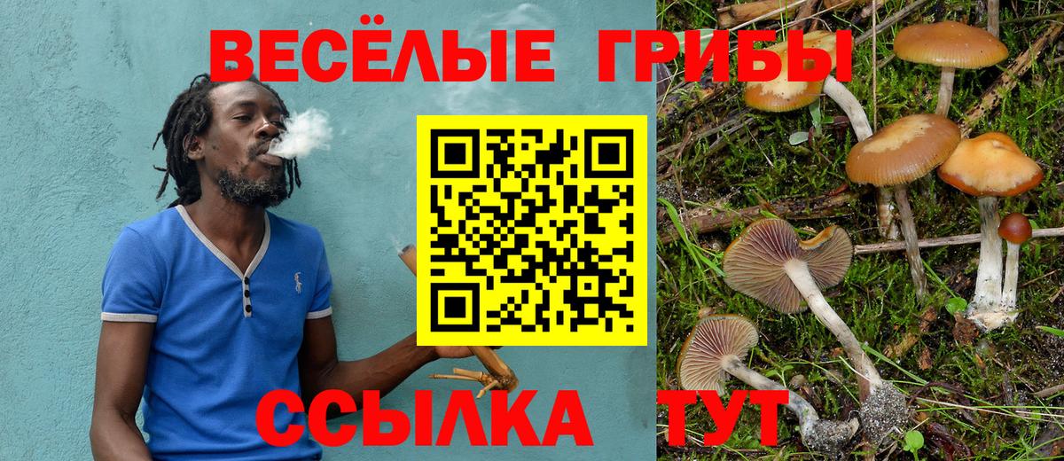 Галлюциногенные грибы Magic Shrooms  Вход с VPN  Белово 