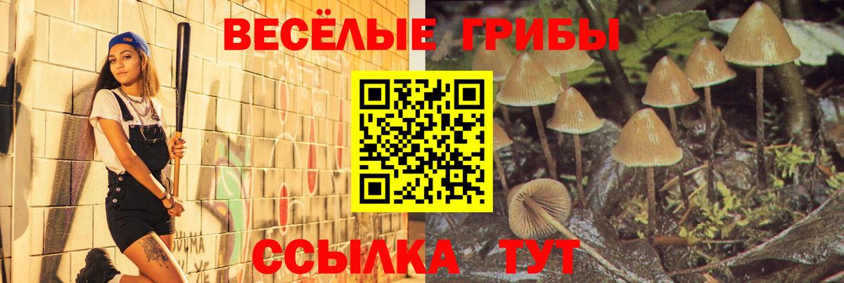 Галлюциногенные грибы MAGIC MUSHROOMS Белово